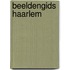 Beeldengids Haarlem