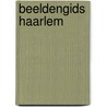 Beeldengids Haarlem door F.H. Hoekstra