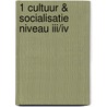 1 Cultuur & socialisatie niveau III/IV door W. Traa