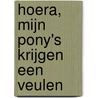 Hoera, mijn pony's krijgen een veulen door M. Boeke