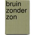 Bruin zonder zon