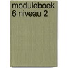 Moduleboek 6 Niveau 2 by Unknown