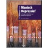 Manisch depressief by H. Kamp
