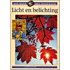 Licht en belichting