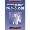 Wegwijs in de psychologie by G. Mietzel