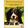 De Berner Sennenhond door Rene Stevens