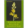 Kweken van bollen in kamer of kas
