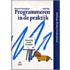 Programmeren in de praktijk