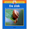 De slak door Chen Mei-Ling