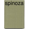 Spinoza door Steven Nadler