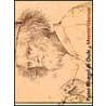 Pieter Bruegel de Oude, Meestertekenaar door Manfred Sellink