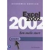 Excel 2002 een snelle start door G. Bruijnes