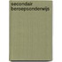 secondair beroepsonderwijs