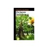 De baron in de bomen door Italo Calvino