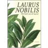 Laurus Nobilis