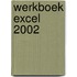 Werkboek Excel 2002