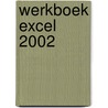 Werkboek Excel 2002 door Dick Knetsch
