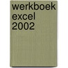 Werkboek Excel 2002