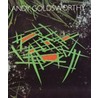 Andy Goldsworthy door Adrian Goldsworthy