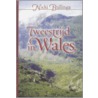 Tweestrijd in Wales door N. Bullinga