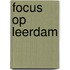 Focus op Leerdam