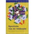 Speeltuin van de wiskunde
