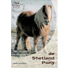 De Shetland Pony door J. Verschure