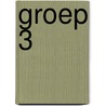 Groep 3  door Onbekend