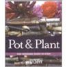 Pot en plant by Redactie Home and Garden