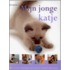 Mijn jonge katje