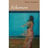 Scherven door H. Vleugels