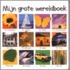 Mijn grote wereldboek