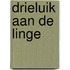 Drieluik aan de Linge
