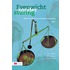 Evenwicht zonder sturing