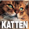 Katten by Unknown