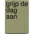 Grijp de dag aan