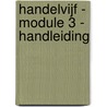 Handelvijf - module 3 - handleiding door De Cruys Van