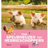 Van speurneuzen tot herrieschoppers