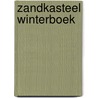 Zandkasteel Winterboek by Unknown