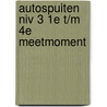 Autospuiten niv 3 1e t/m 4e meetmoment door José Vriens