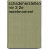 Schadeherstellen niv 3 2e meetmoment door ten Haaf
