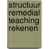 Structuur Remedial Teaching Rekenen