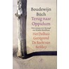 Terug naar Oppidum