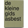 De Kleine Gids Asbest door Onbekend