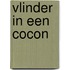 Vlinder in een cocon