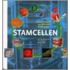 Stamcellen