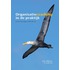 Organisatiecoaching in de praktijk