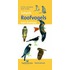 Roofvogels van Europa