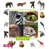 Wat voor dier zie je hier? by Shutterstock