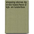 Stepping Stones 4e vmbo basic/lwoo 2 kijk- en luisterbox